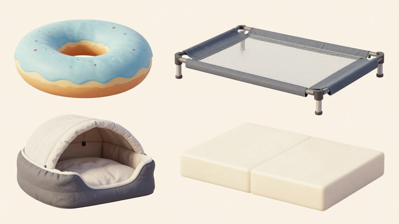 Assortment of different dog bed styles including bolster, cot, and cave designs